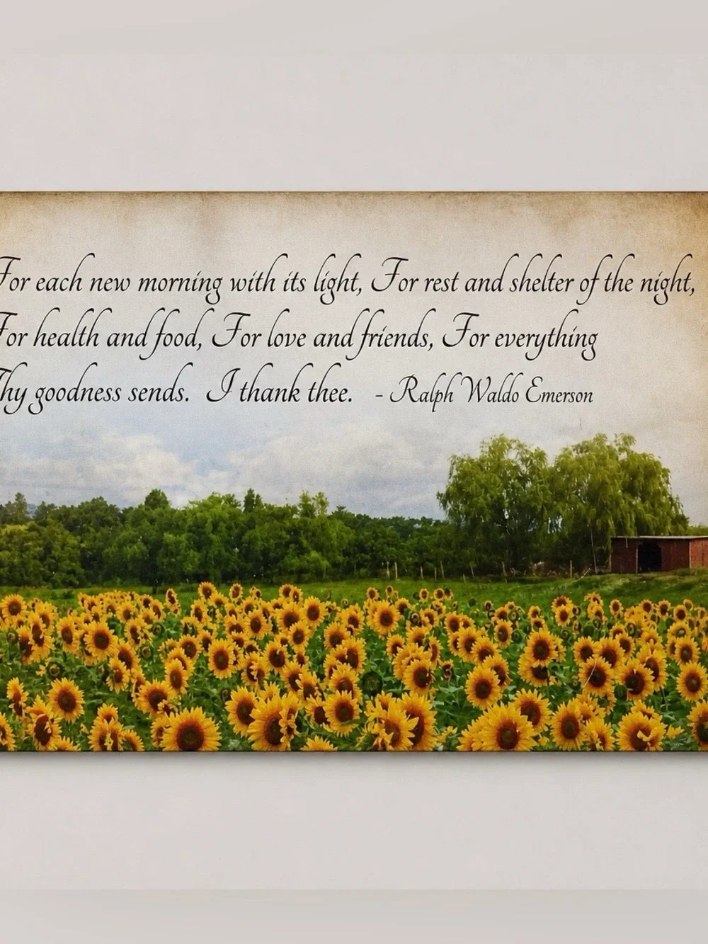 Framed Sunflower Field Wall Signed Art- USA made 27*11